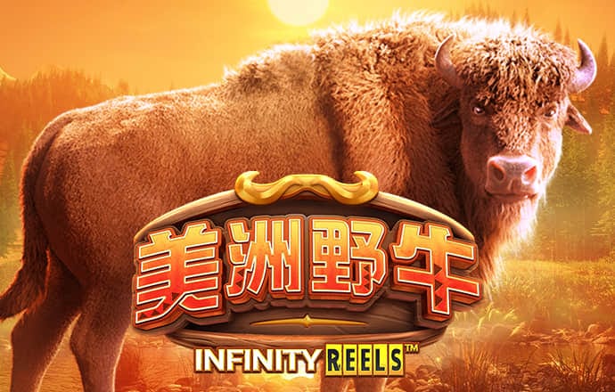 万博体育网页版